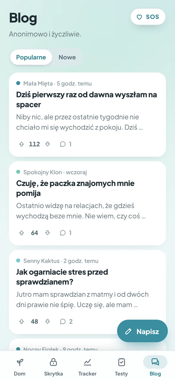 Ekran Blog z anonimowymi wpisami